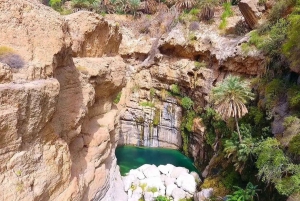 Muscat : Excursion privée d'une journée complète dans le Wadi Mibam en voiture 4x4