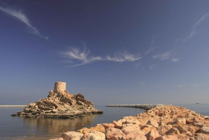 Muscat: Wadi Shab and Bimah Sinkhole Tour with Audio Guide