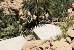 マスカット発：ワディ・シャブ、ロマンチック洞窟、陥没穴 終日ツアー