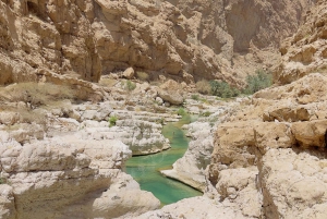 マスカット発：ワディ・シャブ、ロマンチック洞窟、陥没穴 終日ツアー