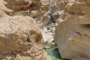 マスカット発：ワディ・シャブ、ロマンチック洞窟、陥没穴 終日ツアー