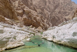 マスカット発：ワディ・シャブ、ロマンチック洞窟、陥没穴 終日ツアー