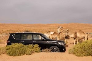 Mascate: excursão guiada em grupo ao deserto de Wahiba e Wadi Bani Khalid