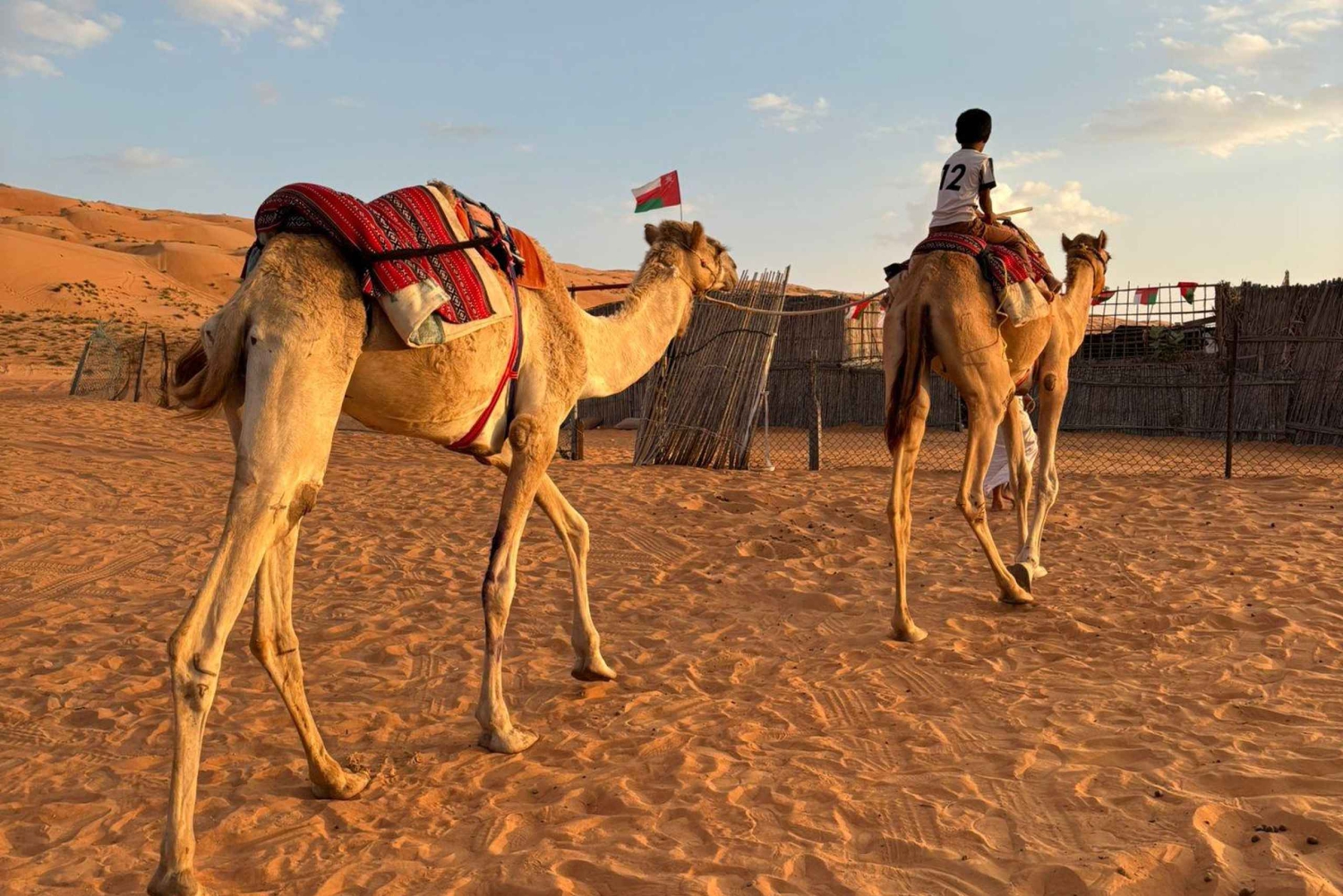 Oman: 4-tägige Tour durch Wadi, Sur, Wüste, Nizwa und Muscat