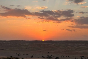 Oman: 4 päivän Wadi, Sur, aavikko, Nizwa ja Muscat -kiertue
