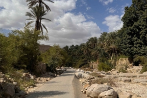 Oman: 4 päivän Wadi, Sur, aavikko, Nizwa ja Muscat -kiertue