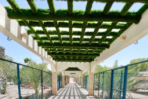 Omã: excursão de aventura de 5 dias com fortes, souqs e montanhas