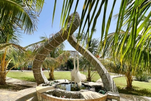 Omã: excursão de aventura de 5 dias com fortes, souqs e montanhas