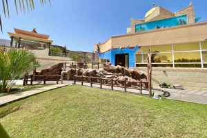 Omã: excursão de aventura de 5 dias com fortes, souqs e montanhas