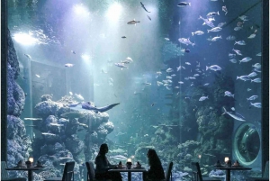 Muscat : billet d'entrée à l'aquarium d'Oman