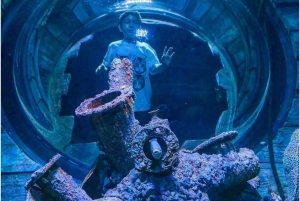 Muscat : billet d'entrée à l'aquarium d'Oman