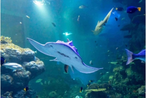 Muscat : billet d'entrée à l'aquarium d'Oman