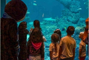 Muscat : billet d'entrée à l'aquarium d'Oman