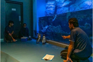 Muscat : billet d'entrée à l'aquarium d'Oman