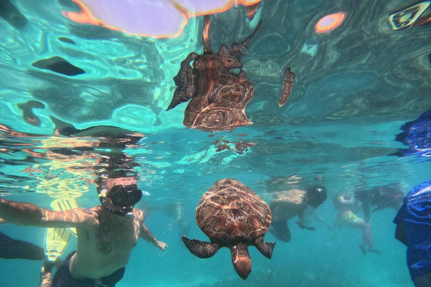 Oman: Snorklingtur til Daymaniyat-øya med utstyr