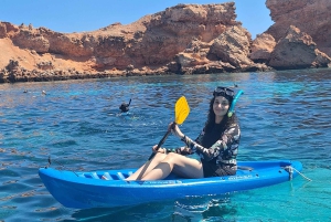 Oman: Snorklingtur til Daymaniyat-øya med utstyr