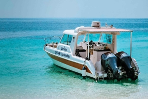 Oman: Snorklingtur til Daymaniyat-øya med utstyr