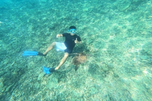 Oman: Snorklingtur til Daymaniyat-øya med utstyr