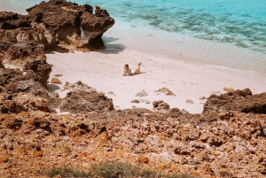 Oman: Snorklingtur til Daymaniyat-øya med utstyr