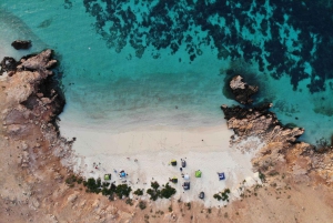 Oman: Snorklingtur til Daymaniyat-øya med utstyr