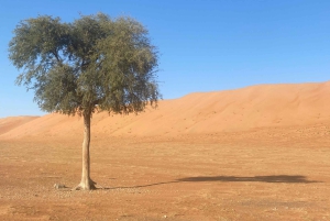 Oman: safari nel deserto e tour avventuroso nell'uadi.