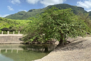 Oman: safari nel deserto e tour avventuroso nell'uadi.