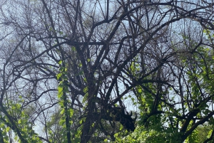 Oman: safari nel deserto e tour avventuroso nell'uadi.