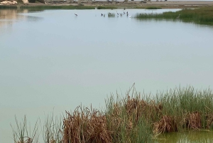 Oman: safari nel deserto e tour avventuroso nell'uadi.