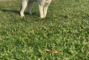Oman: safari nel deserto e tour avventuroso nell'uadi.