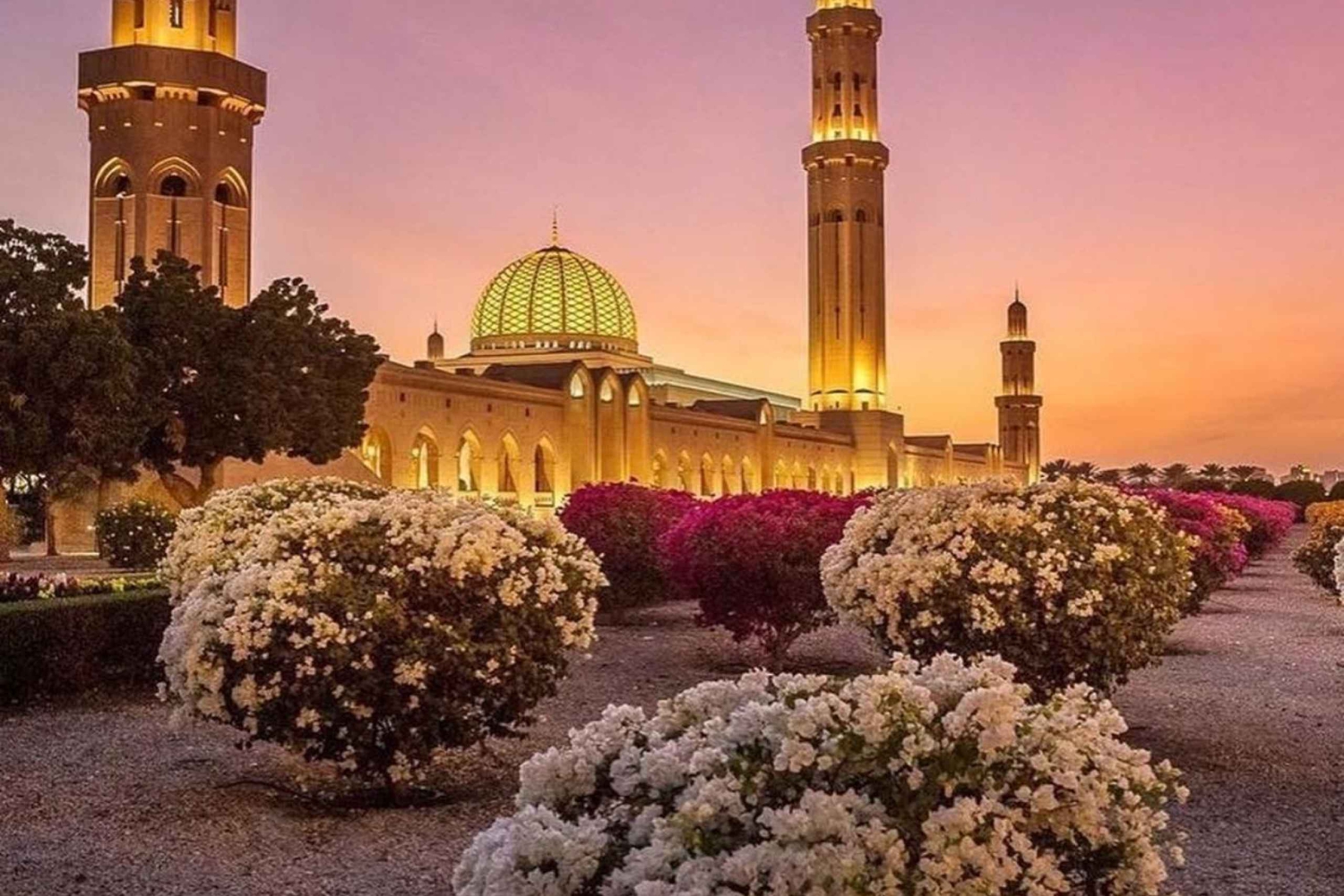 Mascate: tour guidato della città con prelievo e pranzo/cena