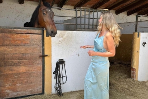 Oman-Salalah: Ridning på stranden ved solnedgang med afhentning på hotellet