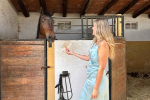 Oman-Salalah: Ridning på stranden ved solnedgang med afhentning på hotellet