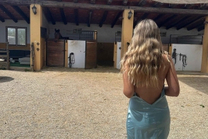 Oman-Salalah: Ridning på stranden ved solnedgang med afhentning på hotellet