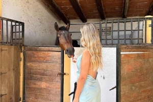 Oman-Salalah: Ridning på stranden ved solnedgang med afhentning på hotellet