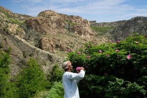 Excursion privée d'une journée à Nizwa, Jabal Akhdar, Birkat Al Moz