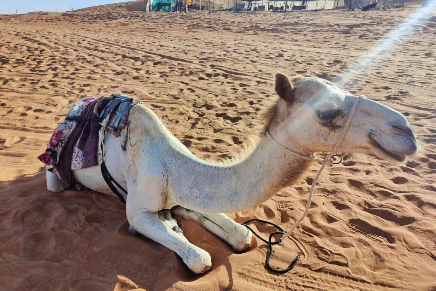 Частная полнодневная экскурсия по пустыне с наблюдением за закатом