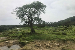 Dia inteiro privado em Salalah Leste