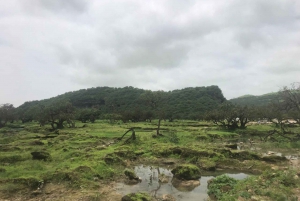 Dia inteiro privado em Salalah Leste