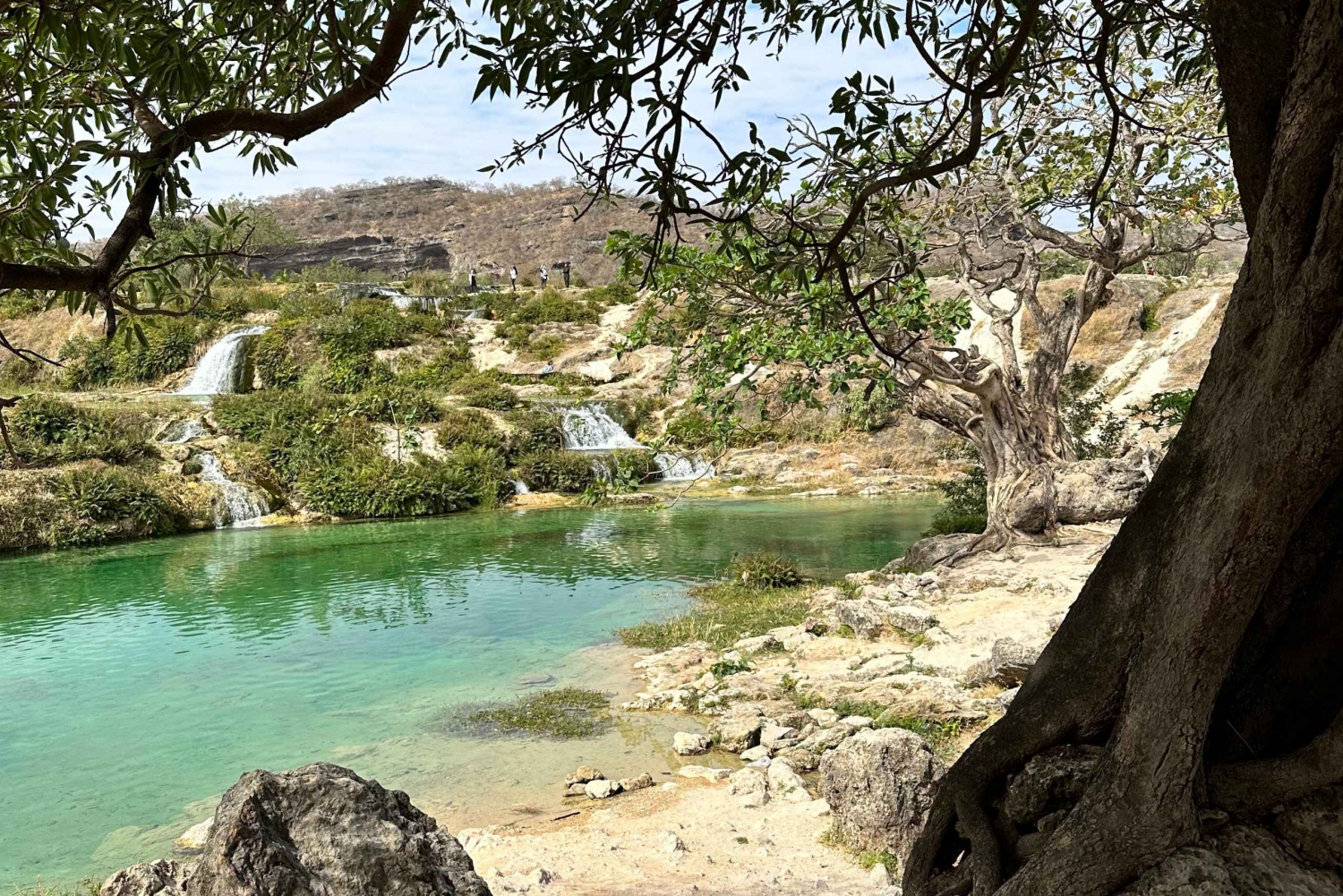 Salalah – główne atrakcje na wschodzie i zachodzie