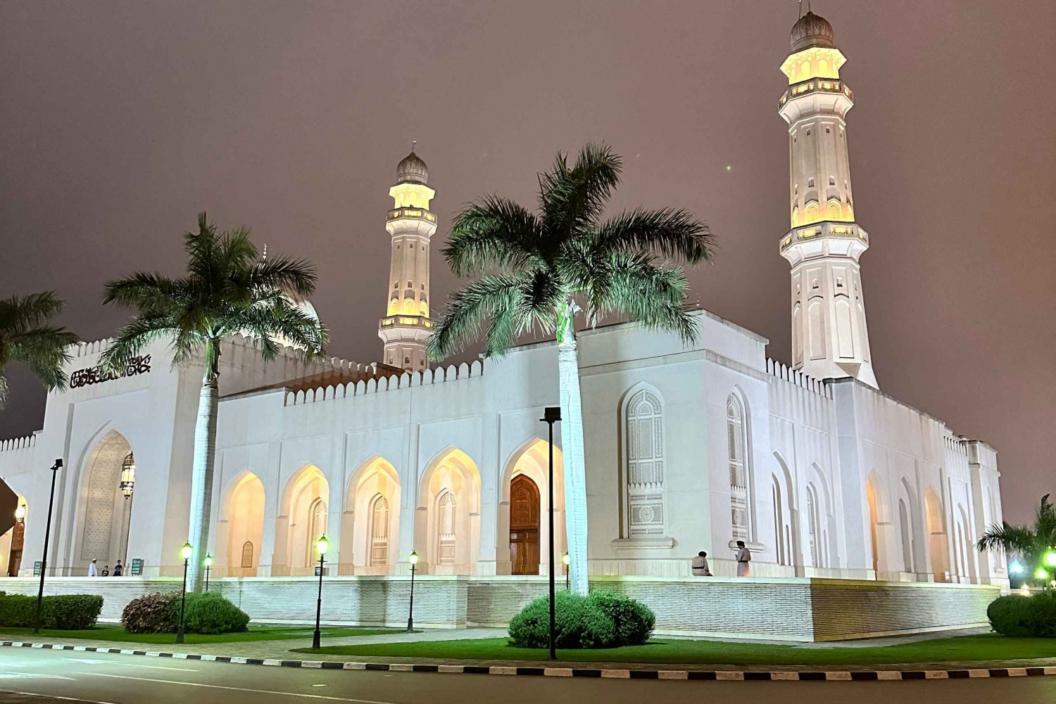 Salalah by Night: Evening City Tour with Gardens Mall & Souk