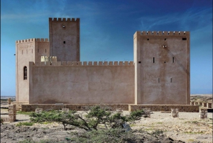 Salalah: Tour di un giorno intero nel magico Dhofar con pranzo