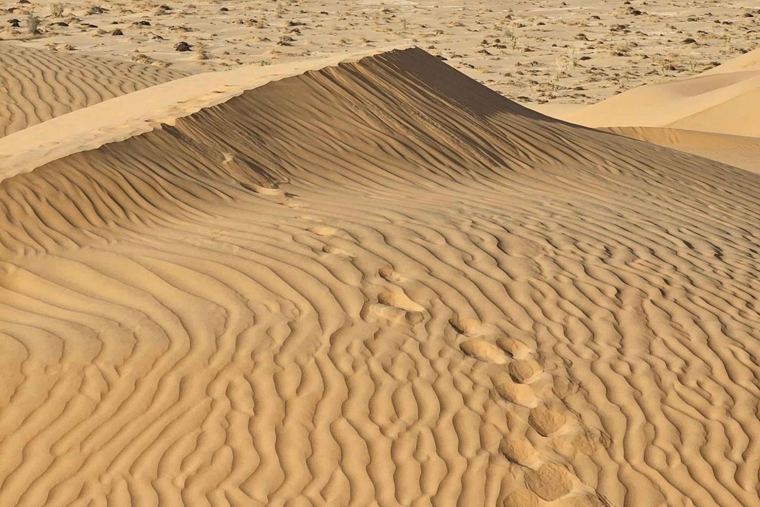 Salalah: Den legendariske Rub’ al Khali-ørkensafari med overnatning