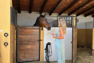 Salalah-Oman: Jazda konna arabską na plaży o zachodzie słońca