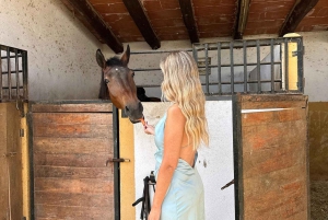 Salalah-Oman: Jazda konna arabską na plaży o zachodzie słońca