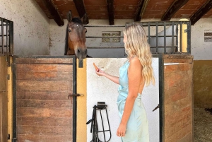 Salalah-Oman: Jazda konna arabską na plaży o zachodzie słońca