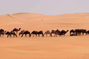 Salalah: prywatne lub grupowe safari po pustyni o zachodzie słońca