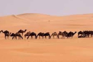 Salalah: prywatne lub grupowe safari po pustyni o zachodzie słońca