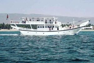 Salalah: nadar com golfinhos com almoço e recolha