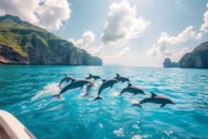Salalah: nadar com golfinhos com almoço e recolha