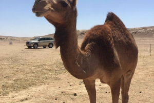 Arena y aromas del Cuarto Vacío: una odisea del incienso